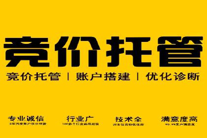 SEM推广代运营公司：行业领先的成功秘诀